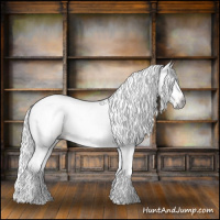 Horse Color:Gray Gold Champagne 