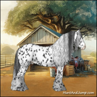 Horse Color:Black Splash Leopard