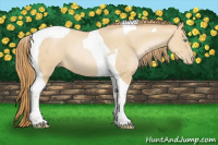 Horse Color:Smoky Blue Roan Pearl Tobiano