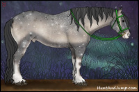Horse Color:Blue Onyx Appaloosa 