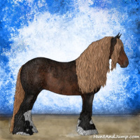 Horse Color:Liver Chestnut Ice Rabicano 