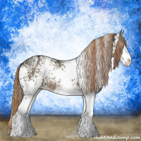 Horse Color:Plaid  White Spotted Liver Chestnut Ice Sabino Rabicano 