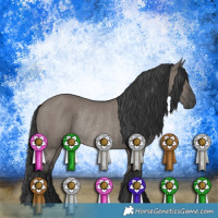 Horse Color:Grullo Mushroom Rabicano
