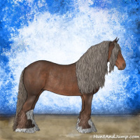 Horse Color:Liver Chestnut Mushroom Rabicano 