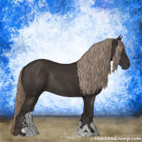 Horse Color:Liver Chestnut Sabino Rabicano 