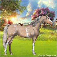 Horse Color:White Spotted Silver Bay Dun Varnish 