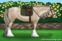 Horse Color:Chocolate Palomino Pearl Tobiano