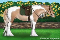 Horse Color:Liver Chestnut Pearl Tobiano