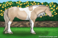 Horse Color:Chocolate Palomino Pearl Tobiano 