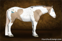 Horse Color:Smoky Black Pearl Splash Tobiano 