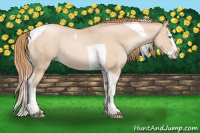 Horse Color:Smoky Black Pearl Sabino Splash Tobiano 