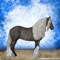 Horse Color:Liver Chestnut Mushroom Rabicano 