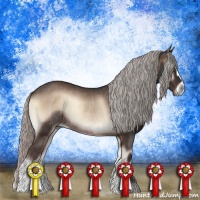 Horse Color:Silver Blue Onyx Mushroom Rabicano