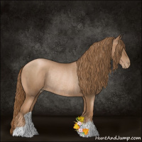 Horse Color:Liver Chestnut Pearl Rabicano 