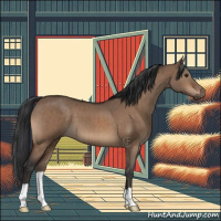 Horse Color:Bay Dun Brindle 