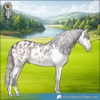 Horse Color:Platinum Bay Dun Appaloosa Brindle