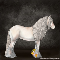 Horse Color:Gold Champagne Ice Pearl Onyx Sabino Rabicano