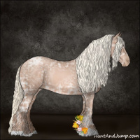 Horse Color:Liver Chestnut Ice Pearl Mushroom Rabicano