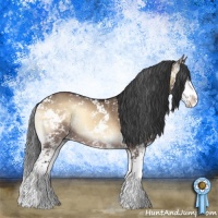 Horse Color:Bay Onyx Sabino Rabicano 