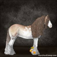 Horse Color:Blue Onyx Pearl Sabino Rabicano
