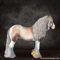 Horse Color:Silver Blue Onyx Pearl Sabino Tobiano Rabicano