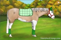 Horse Color:Silver Bay Pearl Splash 