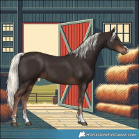 Horse Color:Liver Chestnut Mushroom 