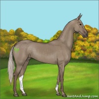 Horse Color:Silver Grullo 