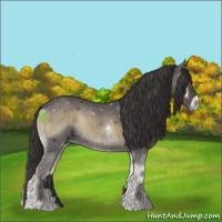 Horse Color:Void Smoky Blue Onyx Roan Rabicano