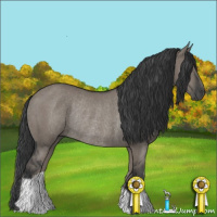 Horse Color:Grullo Rabicano 