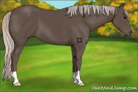 Horse Color:Silver Black 