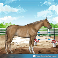 Horse Color:Chocolate Palomino Dun Rabicano