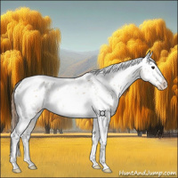 Horse Color:Bay Dun Tobiano Near Leopard Rabicano 