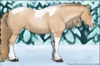 Horse Color:Red Roan Pearl Tobiano Frame 