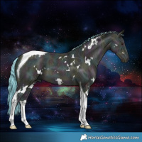 Horse Color:Watercolor White Spotted Midnight Classic Champagne Ice Mushroom Tobiano 