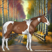 Horse Color:Chestnut Splash Tobiano