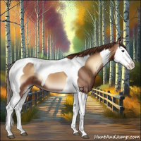 Horse Color:Red Onyx Splash Tobiano 
