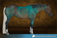 Horse Color:Gray White Spotted Silver Brown Dun Tobiano 