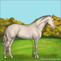 Horse Color:Gold Champagne Dun Brindle 