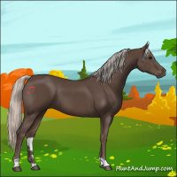 Horse Color:Silver Black 