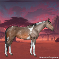 Horse Color:Bay Tobiano 
