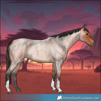 Horse Color:Bay Roan Tobiano 
