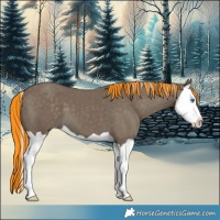 Horse Color:Painted Silver Smoky Black Splash