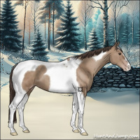 Horse Color:Classic Champagne Tobiano