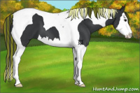 Horse Color:Painted Black Splash Tobiano 
