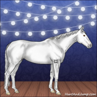 Horse Color:Gray Buckskin