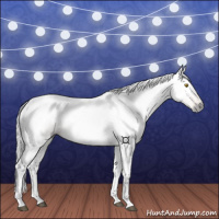 Horse Color:Gray Silver Buckskin 