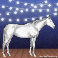 Horse Color:Gray Chestnut 