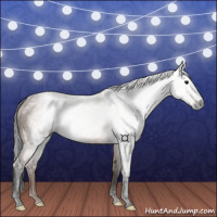 Horse Color:Gray Bay 