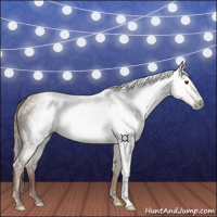 Horse Color:Gray Chestnut 